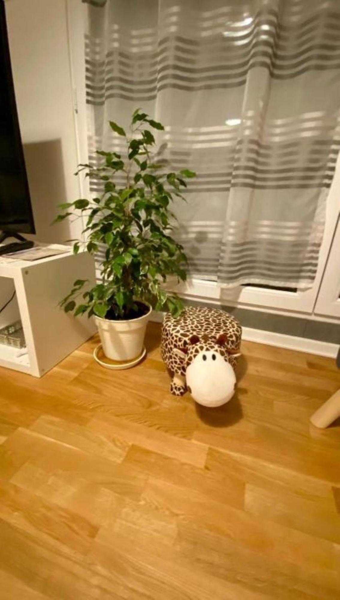 Schoenes Erwachen Im Frankfurter Penthouse Fráncfort del Meno Exterior foto